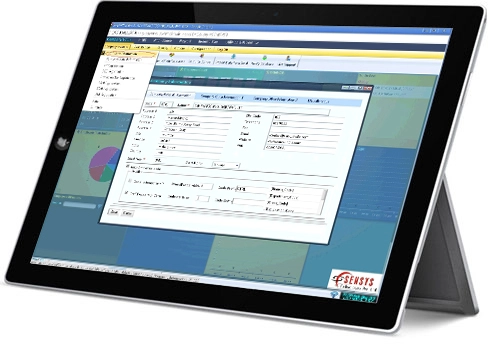 Payroll & HRMS Software Hrmthead Payroll Hrms software Professional working with Payroll &HRMS software